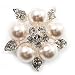 Schmuck : Atemberaubende Hochzeits-Brosche mit Strass und Perlen (Schneeweiß & Silber)