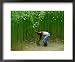 Farmer Harvesting Jute, Tangail,Dhaka, Bangladesh Framed Art Poster Print by Richard I'Anson, 22x18