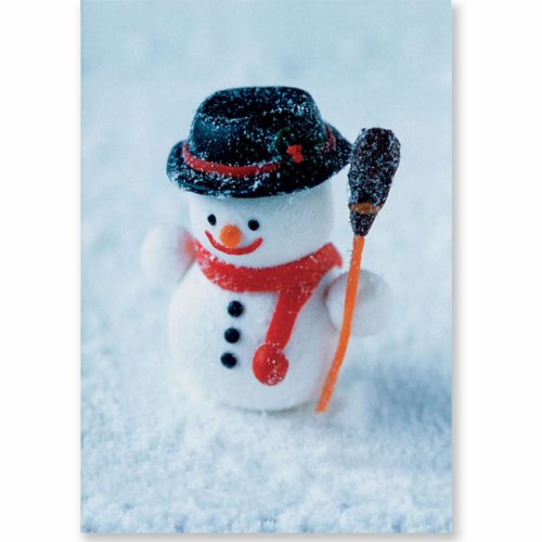 The Little Snowman Holiday Boxed Cards (Christmas Cards, Holiday Cards, Greeting Cards)