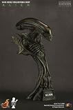 Hot Toys Alien 1/4 Scale (12 Inch) Collectible Bust - Sideshow Collectibles