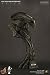Hot Toys Alien 1/4 Scale (12 Inch) Collectible Bust - Sideshow Collectibles