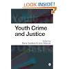 Youth Crime and Justice