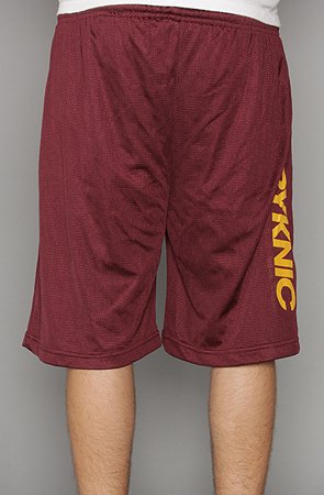 Pyknic BBQ Mesh Shorts,Shorts for Men