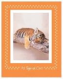All Tiger-Ed Out, Art Poster by Rachael Hale