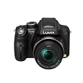 Panasonic - Lumix FZ48 - Appareil photo bridge - 12 Mpix - Noir