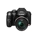Panasonic - Lumix FZ48 - Appareil photo bridge - 12 Mpix - Noir