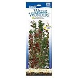 IMAGE OF Top Quality Water Wonders Plant Multi - pack 3