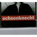 Ochsenknecht