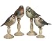 Wooden Bird Figurines Statues Home Decor