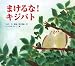 まけるな!キジバト