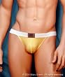 Mansilk Silk Knit Spandex Bikini Brief Underwear