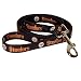 Dog Leash Steelers