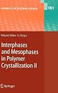 Interphases and Mesophases in Polymer Crystallization II (Advances in Polymer Science) (Advances in Polymer Science)