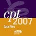 CPT 2007 ASCII Data Files: Single User