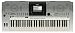 Musical Instruments : Yamaha PSRS900 61-Key Arranger Workstation Keyboard