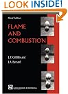 Flame and Combustion. Third Edition