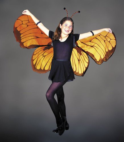 Costumes For All Occasions MR153001 Wings Childs Butterfly
