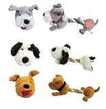 (Rosewood) Mr Twister Sausage Dog Sizzler 11 (assorted)