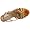 Via Spiga Women's Hazel City Sandal,Camel/Orange,7.5 M US