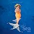 Anne Geddes 2015 Wall Calendar: Under the Sea