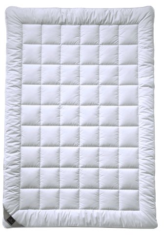 Billerbeck 2161088004 Bettdecke 520 Allegro Light 200 x 240 cm Preisvergleich