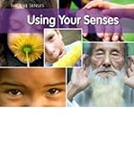 Using your senses