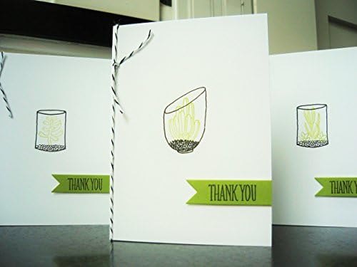 Succulent Thank You Cards Set of 5, Greeting Cards Set