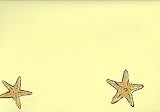 Butter Star Fish Wallpaper