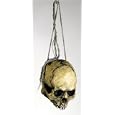 Costumes For All Occasions MR122065 Hanging Jawless Skull On Strng