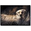 Yellow Labrador Lab Indoor Outdoor Doormat Mat Rug