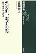 光の場、電子の海―量子場理論への道 (新潮選書)