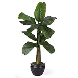 Silk Banana Palm Tree with Black Vase 28