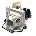 F Projector Lamp for Optoma