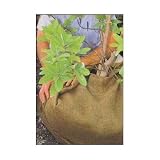 6' x 250' Burlap Bulk