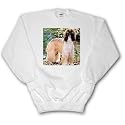Dogs Afghan - Afghan Hound - Sweatshirts