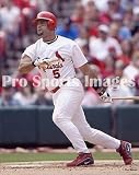Albert Pujols St. Louis Cardinals 8x10 Photo