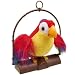 The Talking Parrot