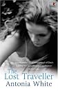 The Lost Traveller (Virago Modern Classics)