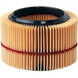 Craftsman 3 or 4 gal. Vac Filter for Wet / Dry Vacs 4 x 7 color stripe purple