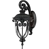 Acclaim 2102BK Naples Collection 1-Light Wall Mount Outdoor Light Fixture, Matte Black