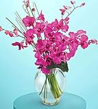 The FTD® Morning Joy TM Bouquet