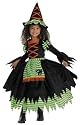 Story Book Witch Toddler Costume