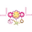 Bright Starts Petal Pusher Carrier Toy Bar