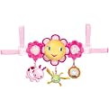 Bright Starts Petal Pusher Carrier Toy Bar