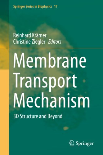 Membrane Transport Mechanism: 3D Structure and Beyond: 17 (Springer Series in Biophysics)