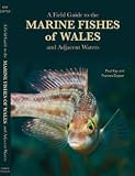 A field guide to the marine fishes of Wales and adjacent waters