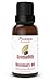 Rosemary Essential Oil by AromaOils - 1 oz (30 ml) - Best Used Now for Aromatherapy, Pain Relief, Stress Management, DIY Skincare and Hair Growth - 100% Pure Therapeutic Grade