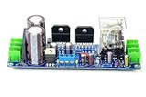 LILLYエレクトロニクス スピーカー保護整流器フィルター付きGC LM3886TF2チャンネルアンプボード