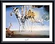 Art Poster Metal Framed Print - Temptation Of St Anthony - Artist: Salvador Dali- Poster Size: 11 X 14