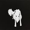 Bild des Albums von Sigur R�s